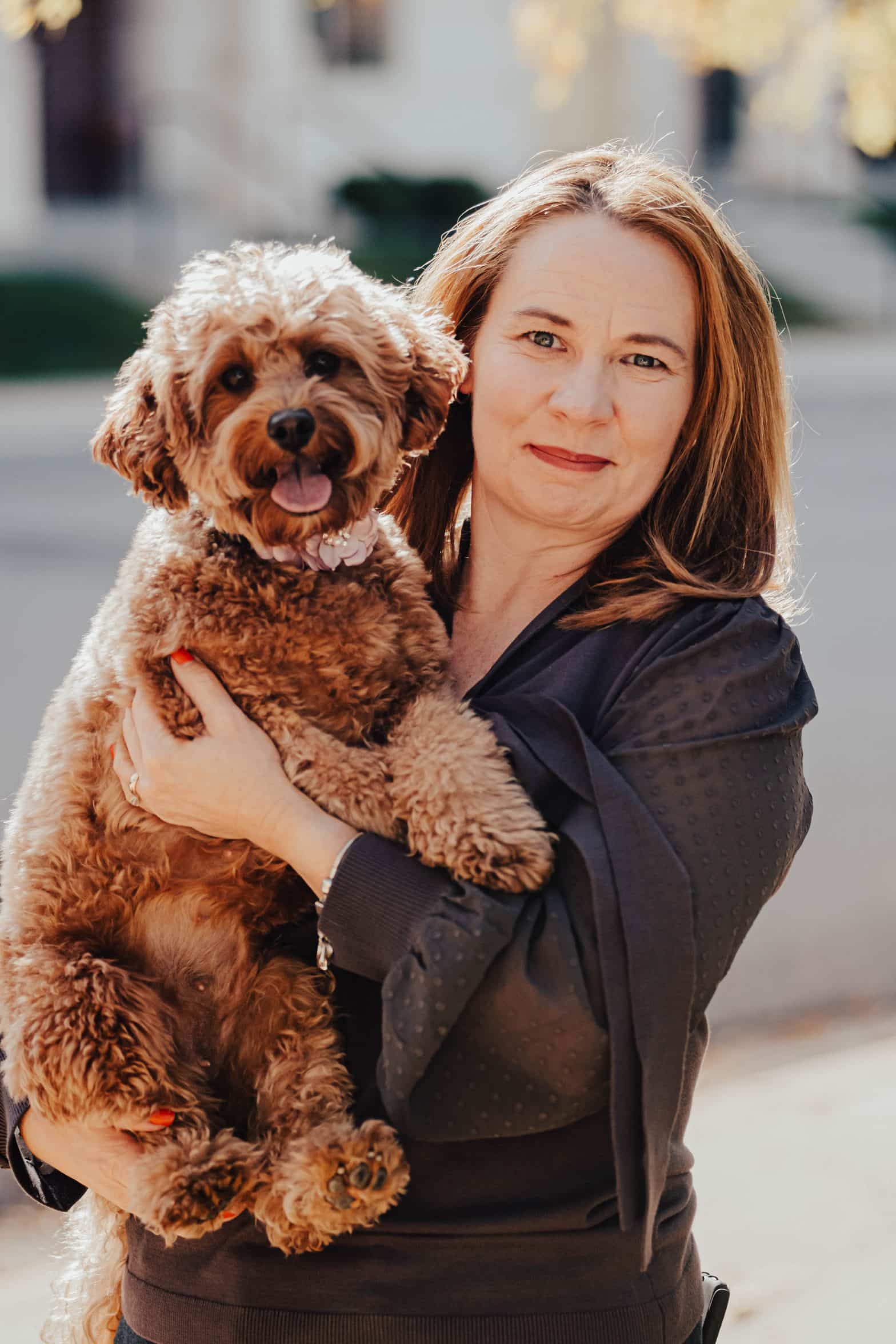 Boston Cavapoo Breeder | Puppies for Greater Boston Homes